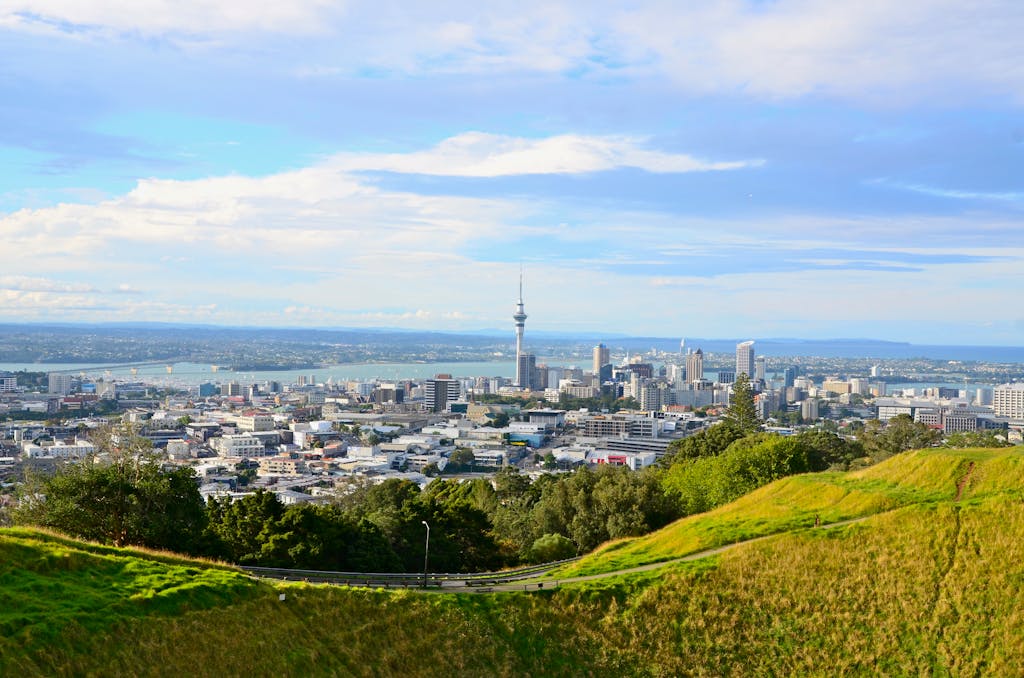 Auckland cityscape from Mt. Eden with Sky Tower and residential properties under a clear sky.