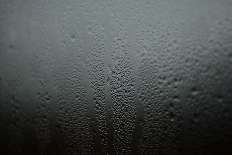 Condensation on a rental window, where damp and mould in rentals begins