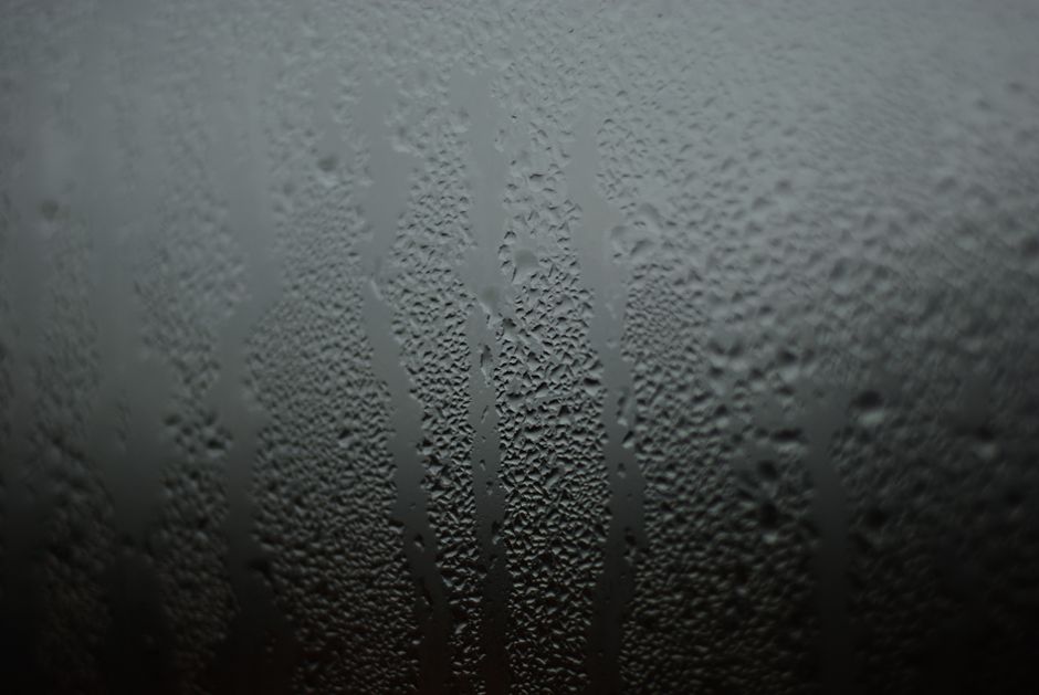 Condensation on a rental window, where damp and mould in rentals begins